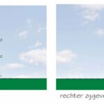 Peppelkade 5g – Foto 11