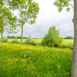 Keulenaar 36 – Foto 6