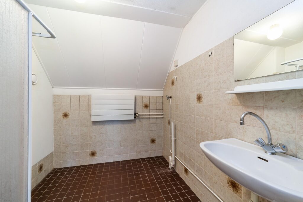 Goudfazant 4 – Foto 2