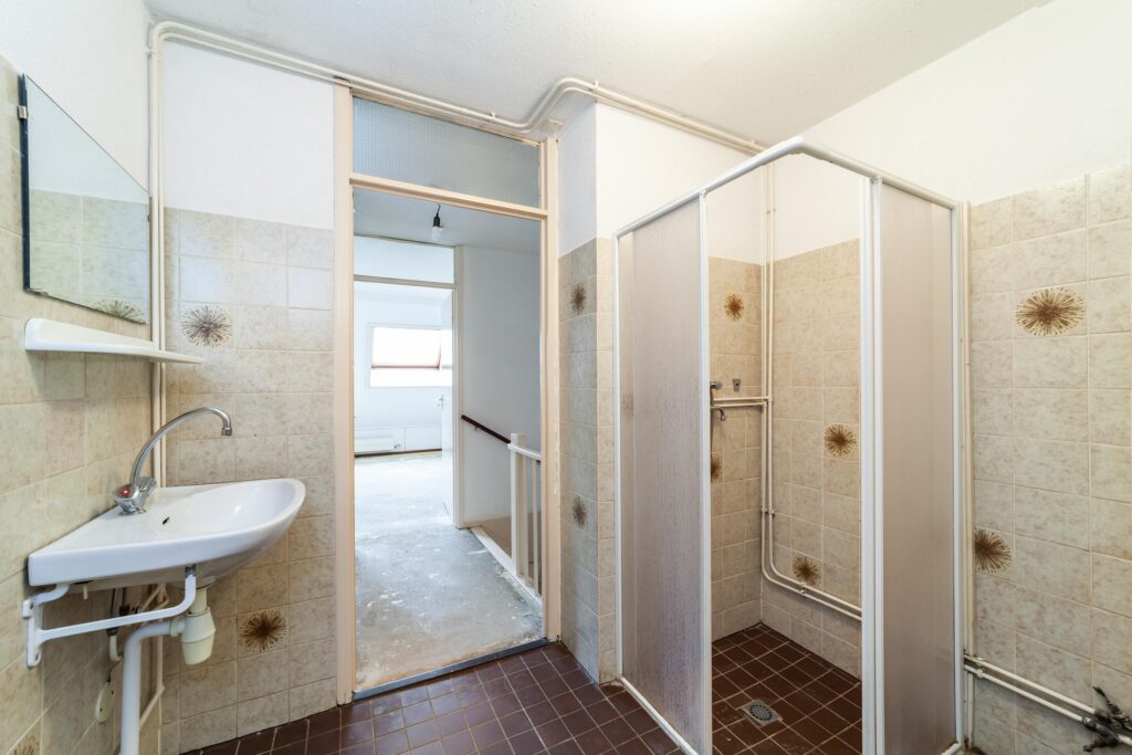 Goudfazant 4 – Foto 5