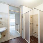 Goudfazant 4 – Foto 5