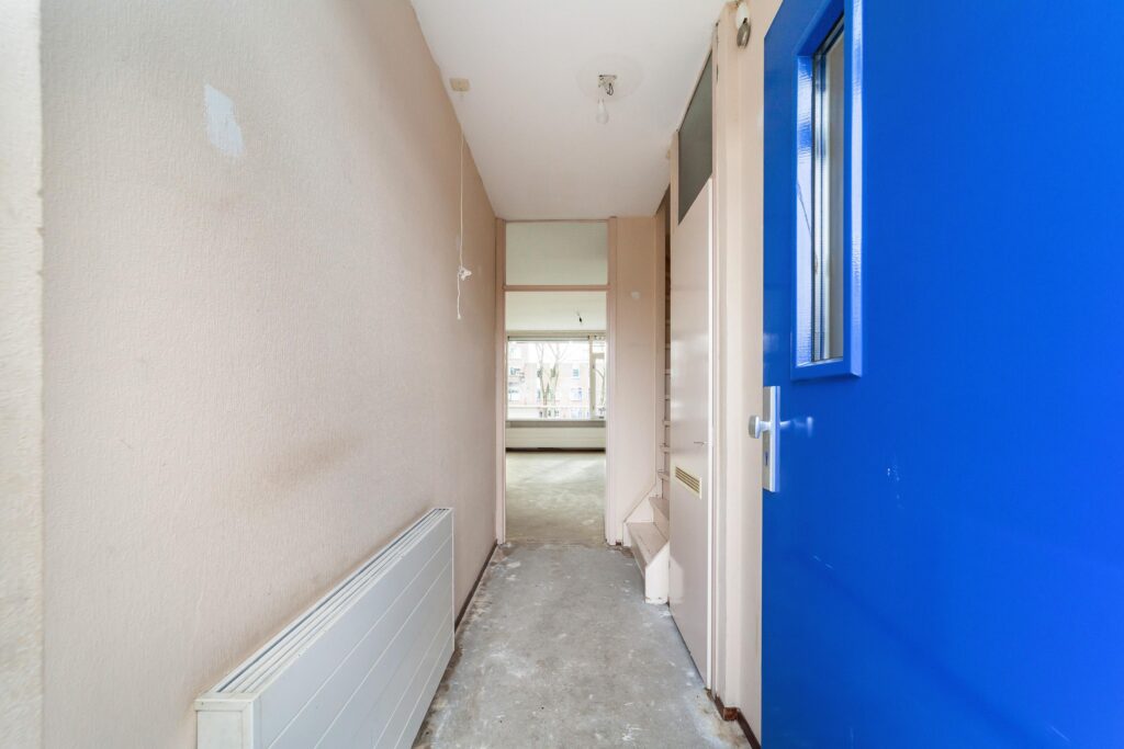 Goudfazant 4 – Foto 4