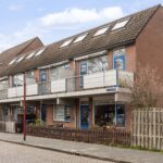 Goudfazant 4 – Foto 7