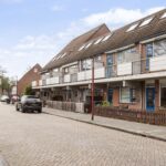 Goudfazant 4 – Foto 9