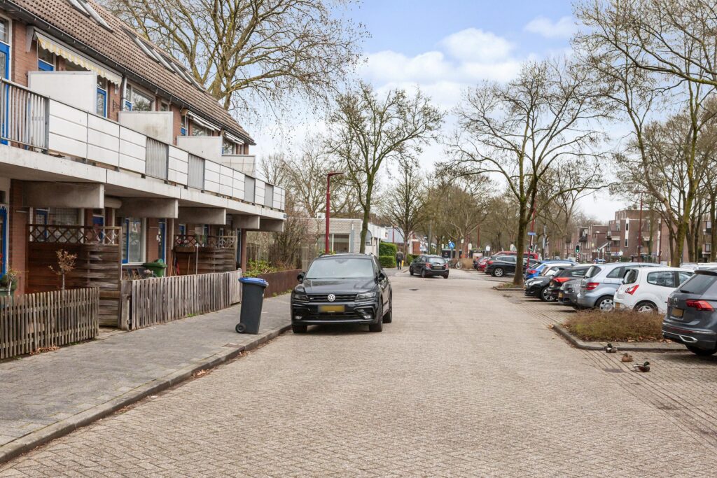 Goudfazant 4 – Foto 8