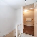 Goudfazant 4 – Foto 18