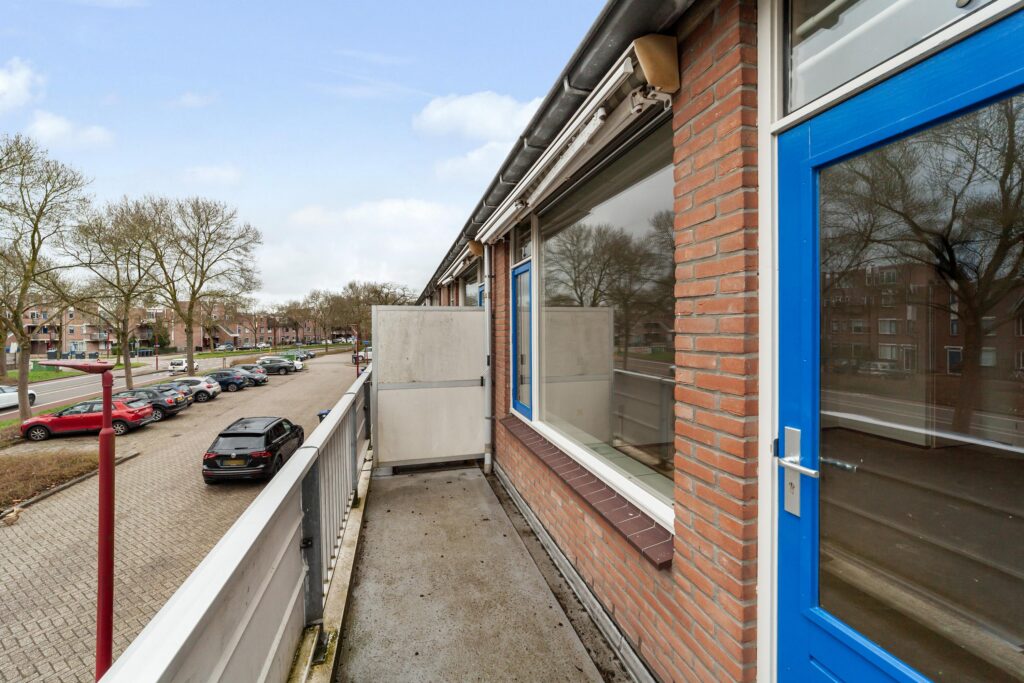 Goudfazant 4 – Foto 22