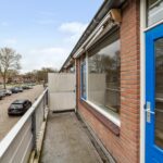 Goudfazant 4 – Foto 22