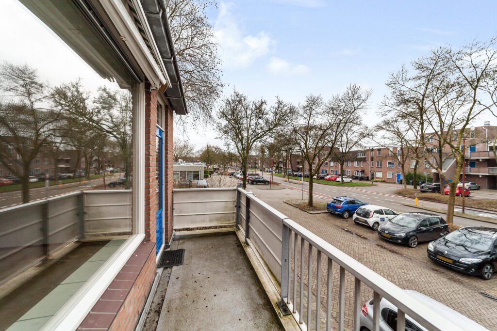 Goudfazant 4 – Foto 21