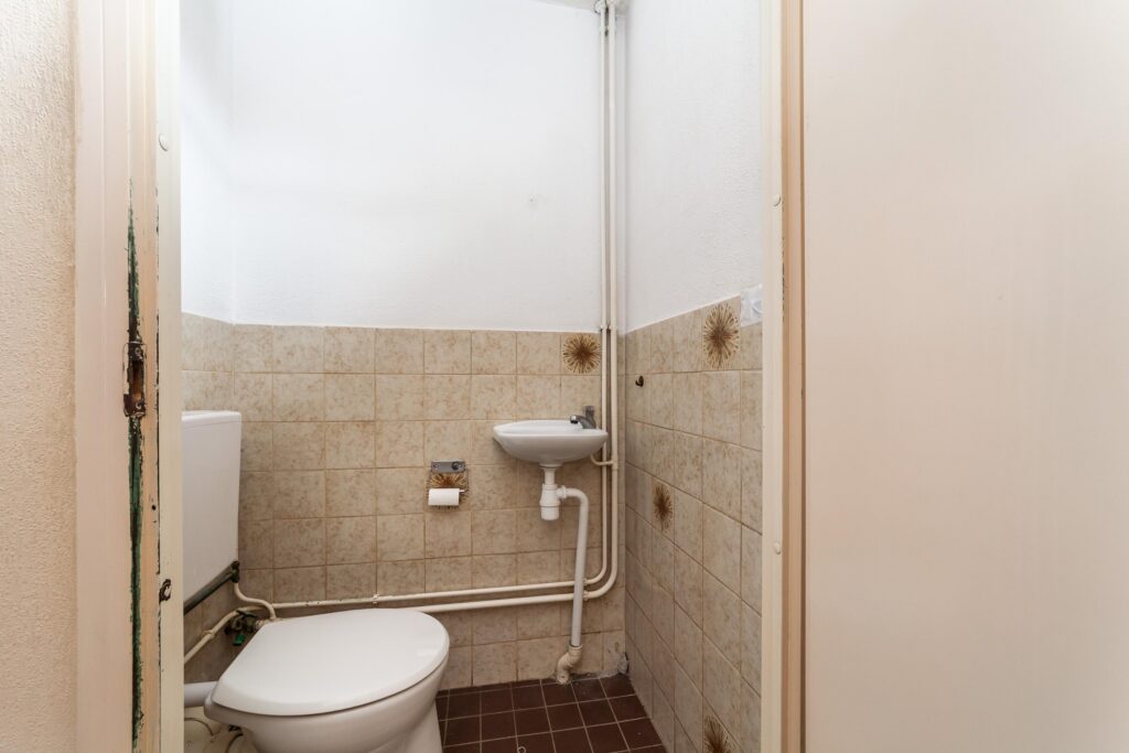 Goudfazant 4 – Foto 23