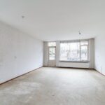 Goudfazant 4 – Foto 24