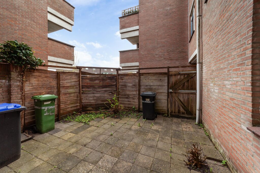 Aalscholver 12 – Hoofdfoto