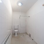 Aalscholver 12 – Foto