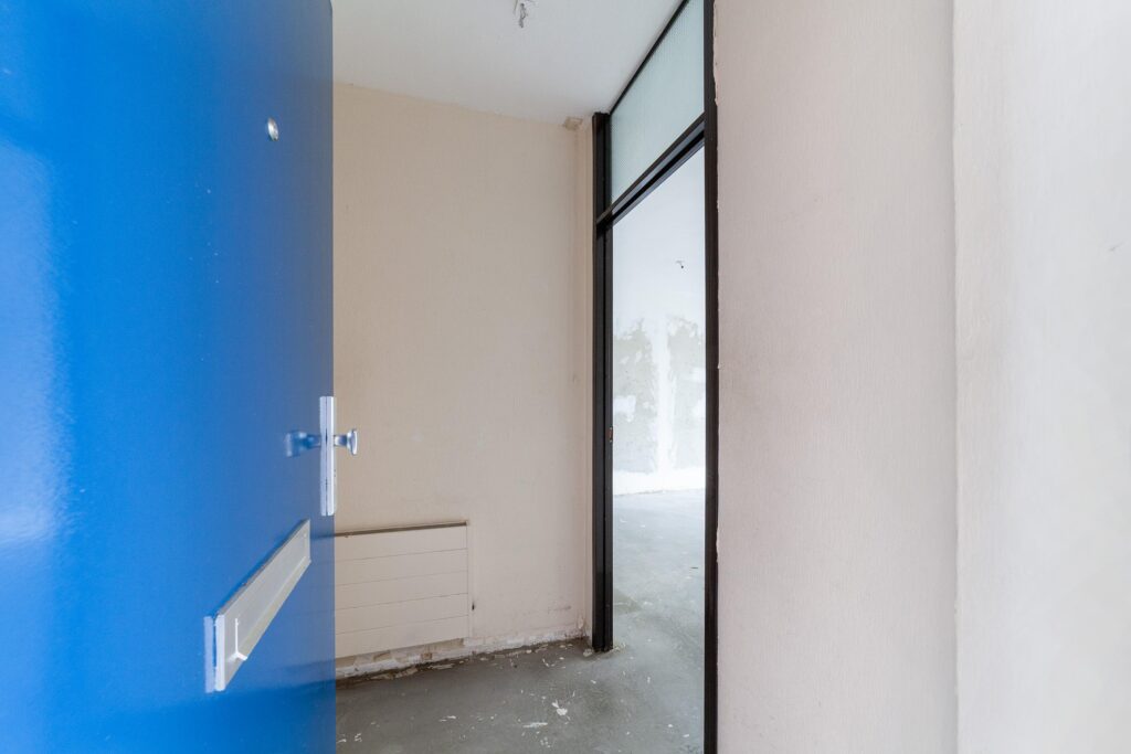 Aalscholver 12 – Foto 3