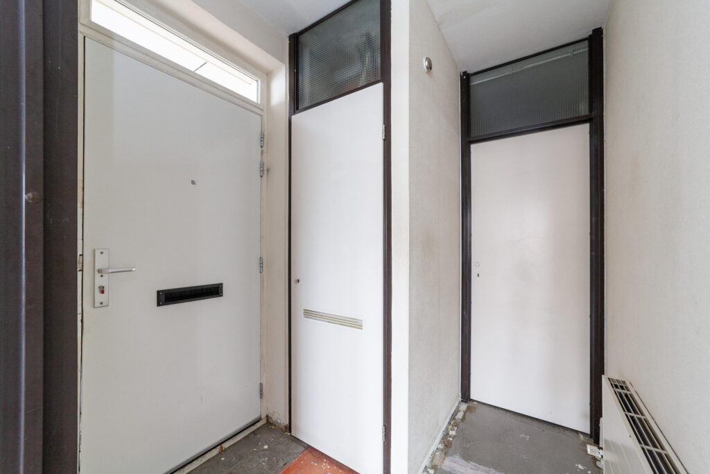 Aalscholver 12 – Foto 4