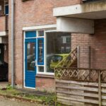 Aalscholver 12 – Foto 8