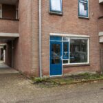 Aalscholver 12 – Foto 11