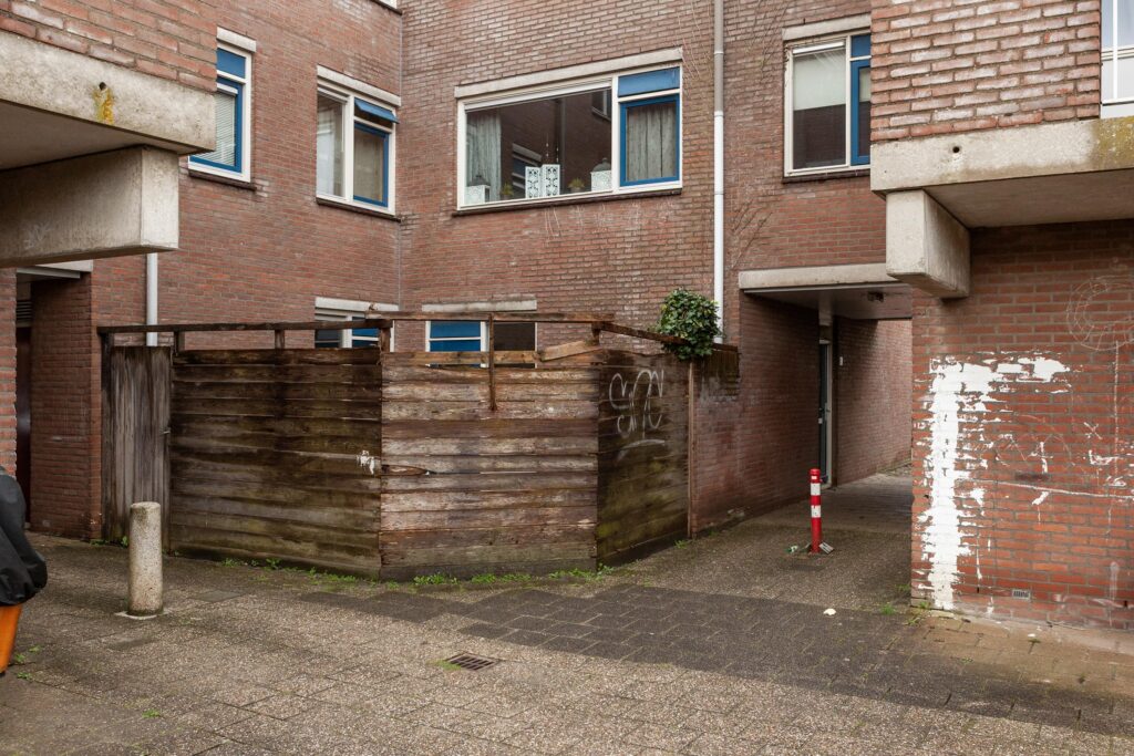 Aalscholver 12 – Foto 10