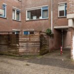 Aalscholver 12 – Foto 10