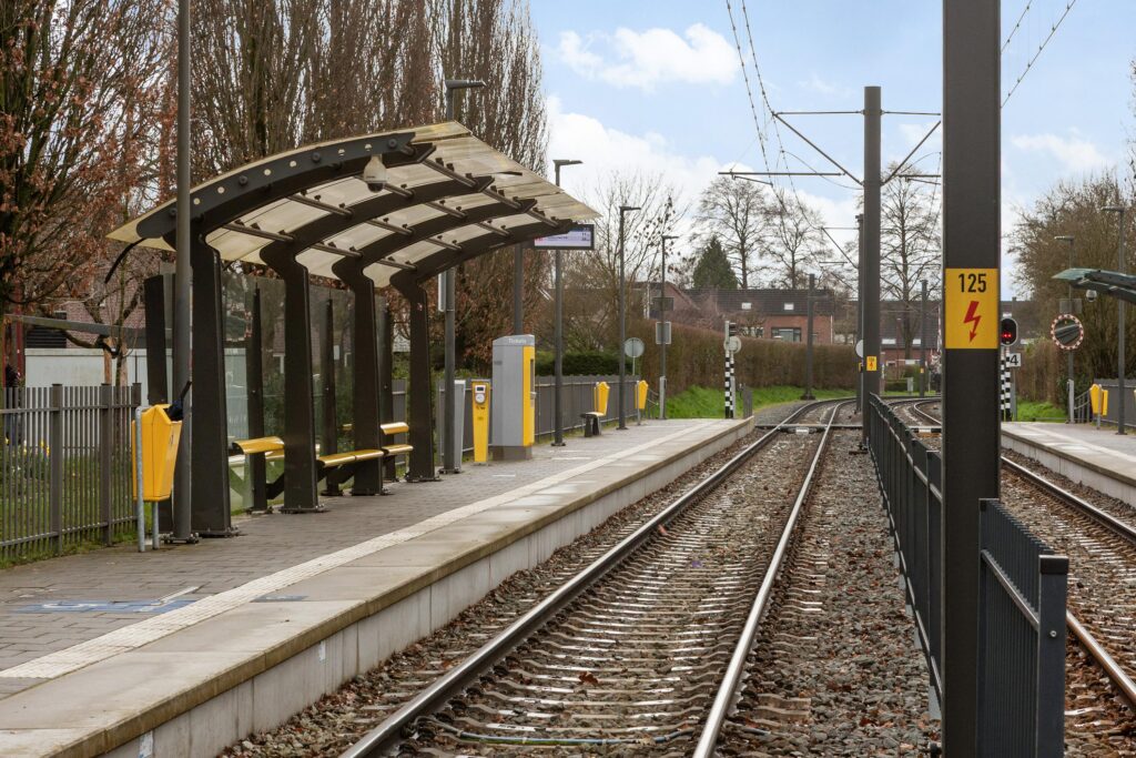 Aalscholver 12 – Foto 17