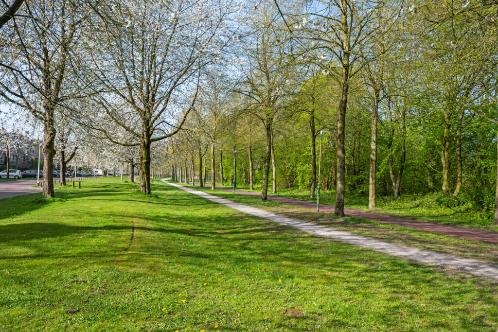 Snoeksloot 90 – Foto 27