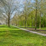 Snoeksloot 90 – Foto 27