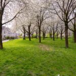 Scherpencamp 1 – Foto 46