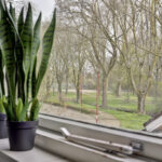 Prinsessenweg 68 – Foto 46