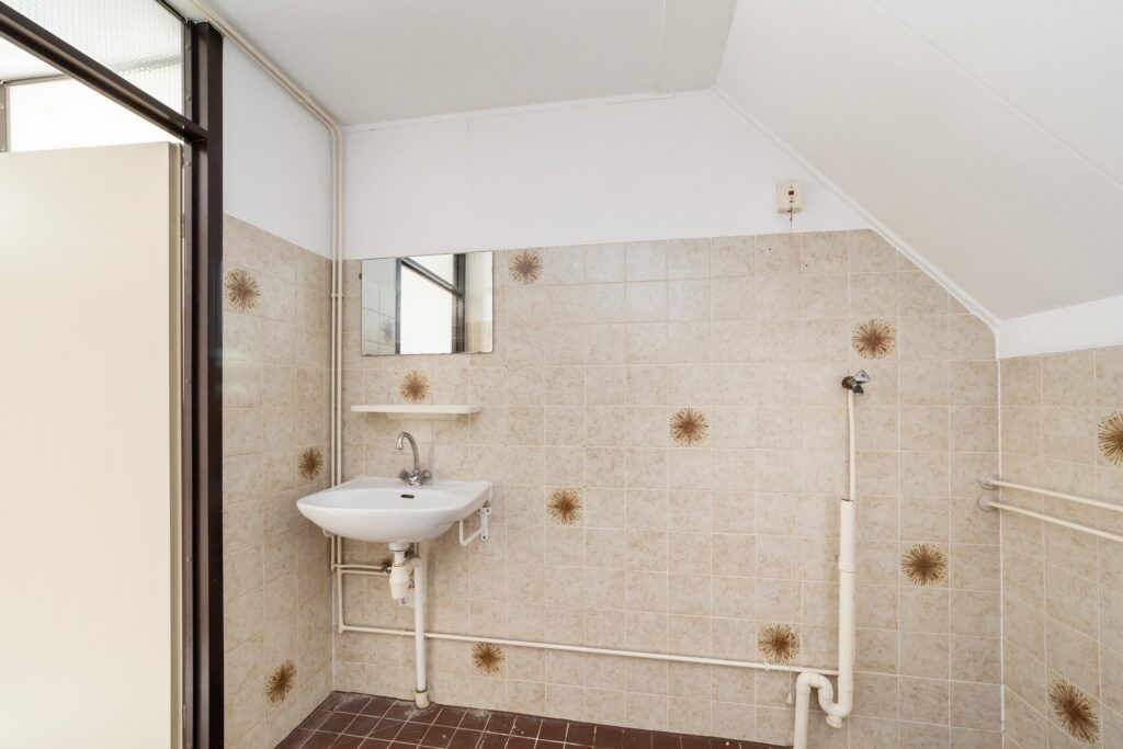 Goudfazant 7 – Foto 6