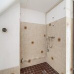 Goudfazant 7 – Foto 5