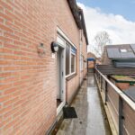 Goudfazant 7 – Foto 8