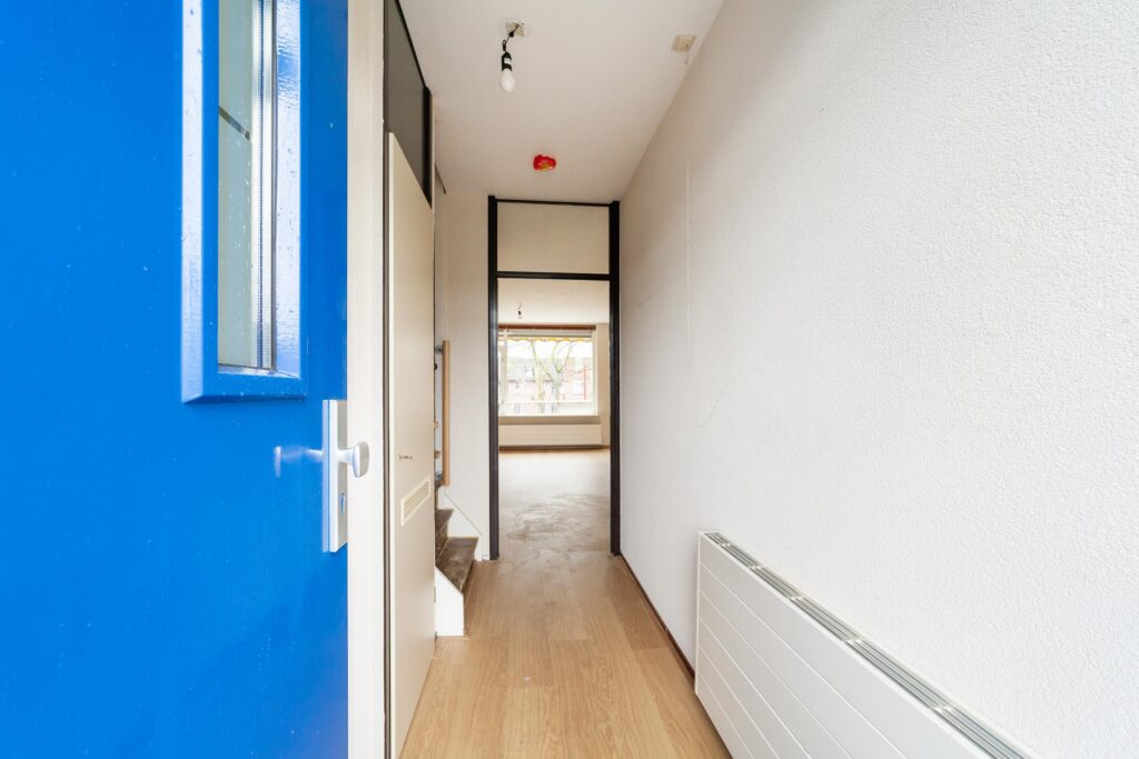 Goudfazant 7 – Foto 7