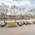 Goudfazant 7 – Foto 17