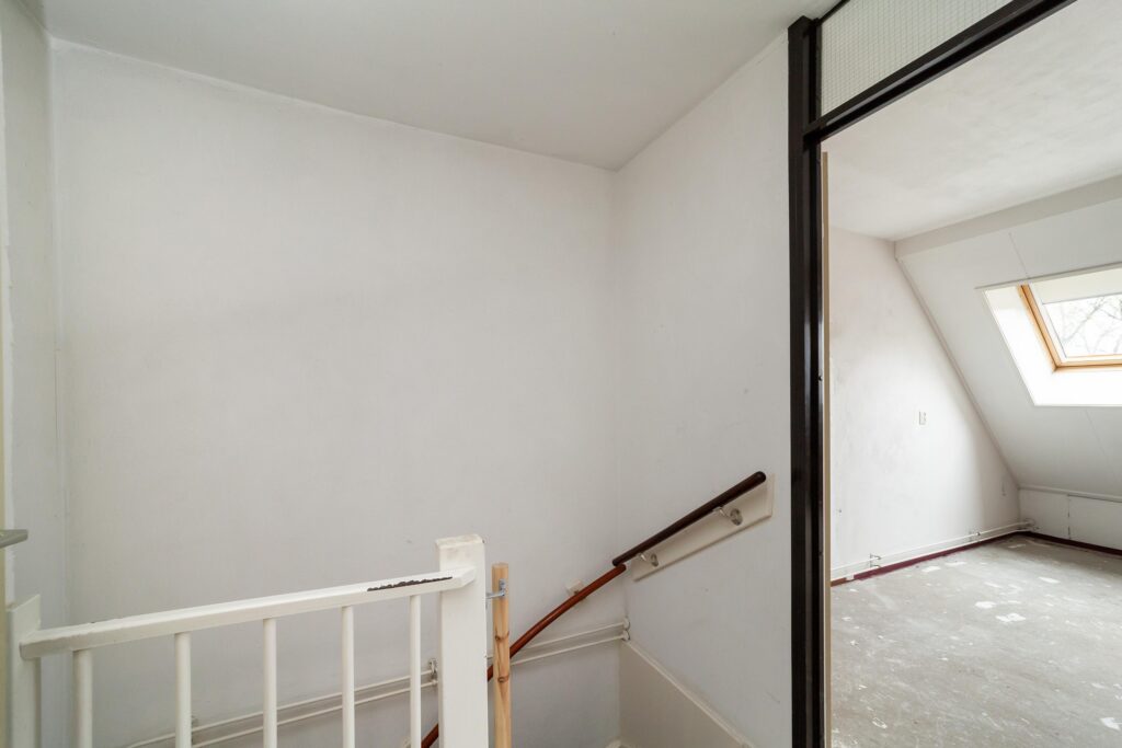 Goudfazant 7 – Foto 18