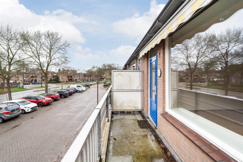 Goudfazant 7 – Foto 19