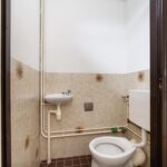 Goudfazant 7 – Foto 20