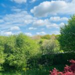 Blieksloot 48 – Foto 34