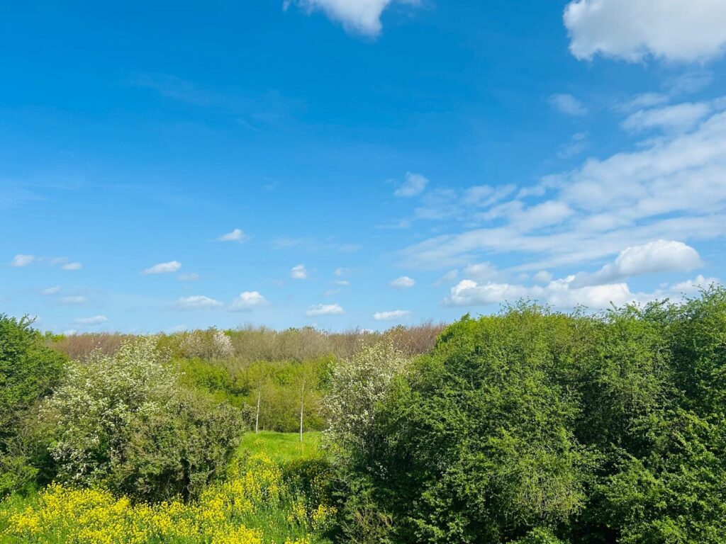 Blieksloot 48 – Foto 28