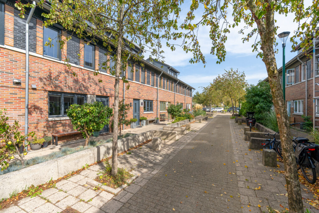 Kastanjehout 21 – Foto 29