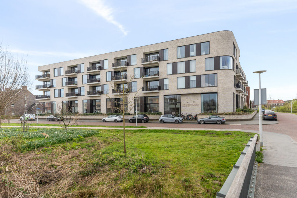 Wilde rucolavliet 37 – Foto