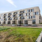 Wilde rucolavliet 37 – Foto