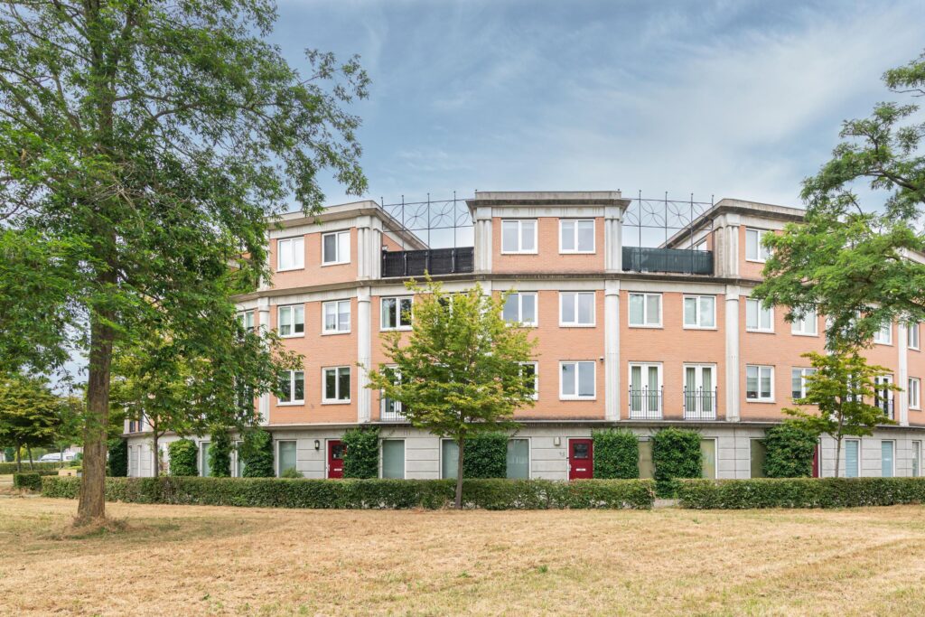 Schijfmos 15 – Hoofdfoto