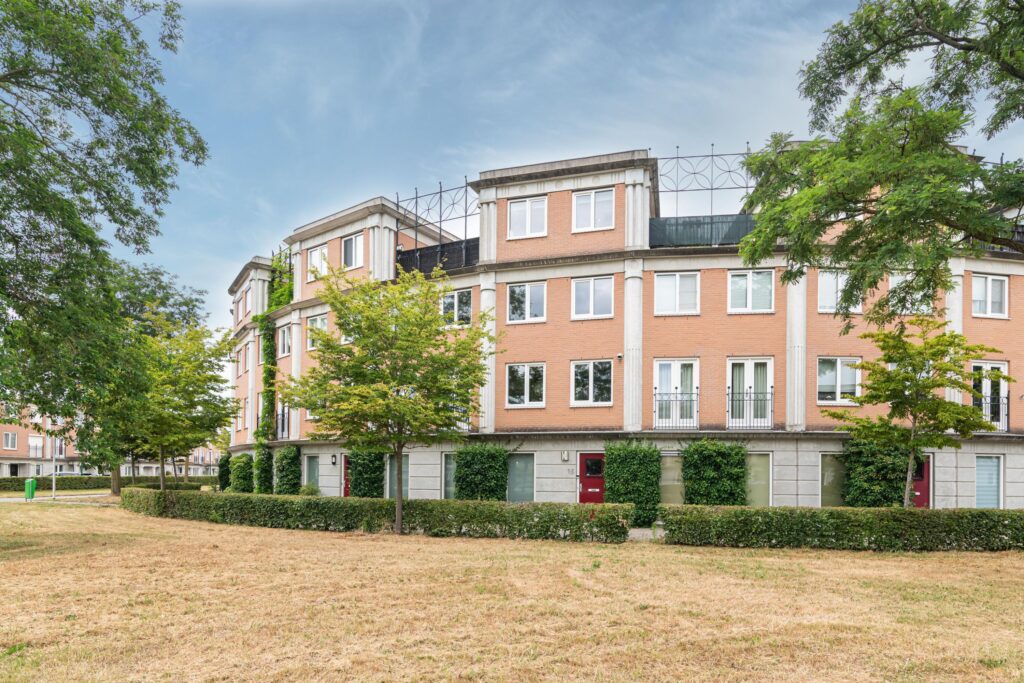 Schijfmos 15 – Foto