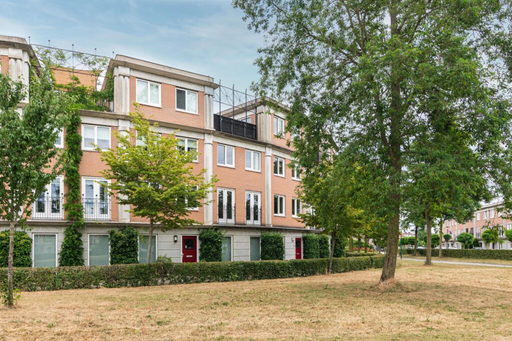 Schijfmos 15 – Foto 2