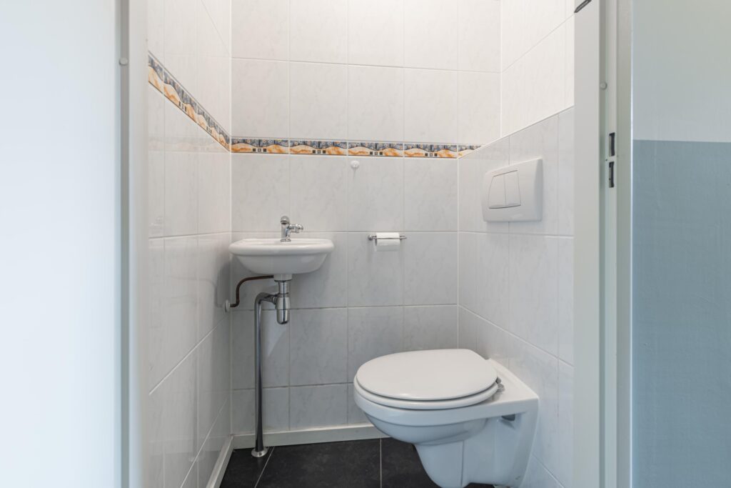 Schijfmos 15 – Foto 26