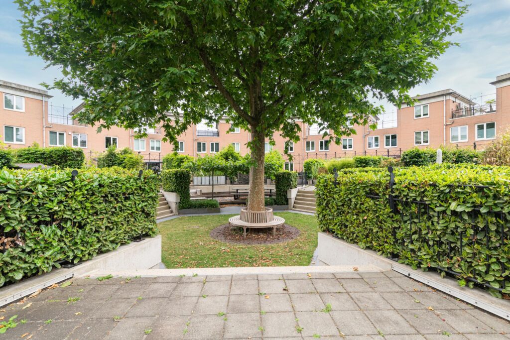 Schijfmos 15 – Foto 35