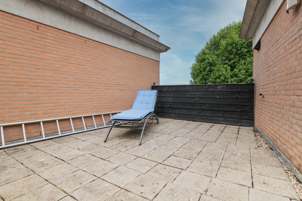 Schijfmos 15 – Foto 32