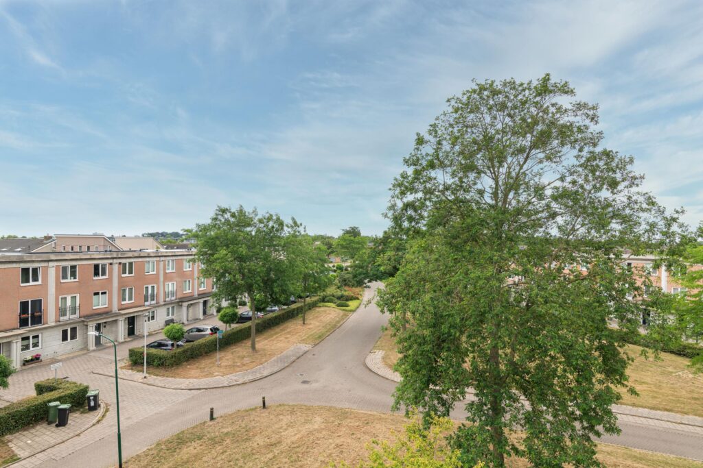 Schijfmos 15 – Foto 37