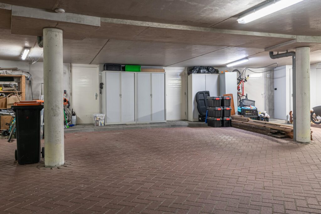 Schijfmos 15 – Foto 38