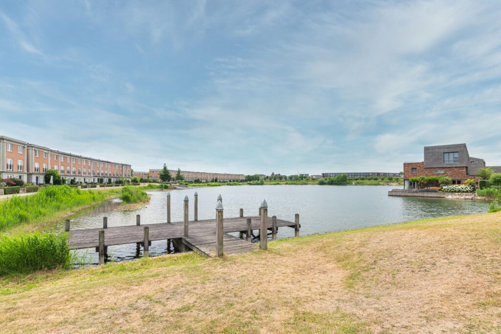 Schijfmos 15 – Foto 40